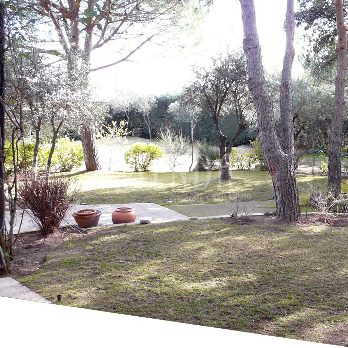 Jardineria chalet Villanueva