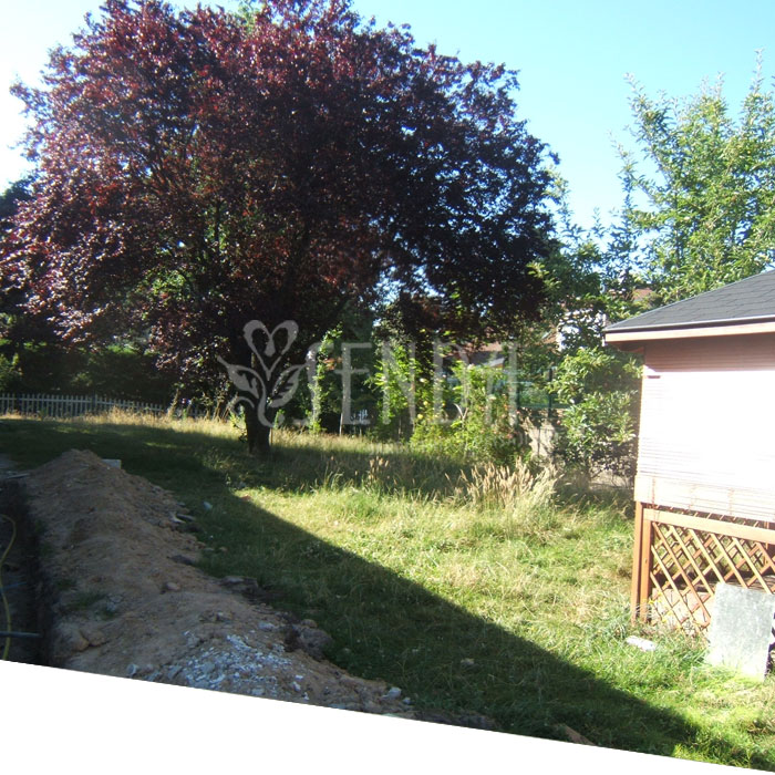 Jardineria Jardineria