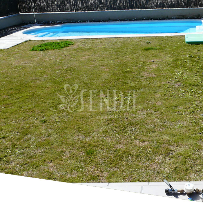 Jardineria chalet Villanueva Jardineria chalet Villanueva
