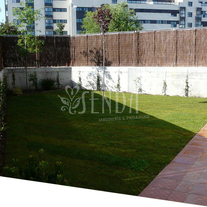 Espacio ajardinado (despues) Jardineria