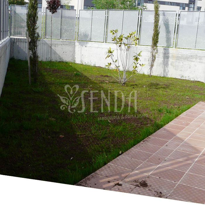 Espacio ajardinado (antes) Jardineria