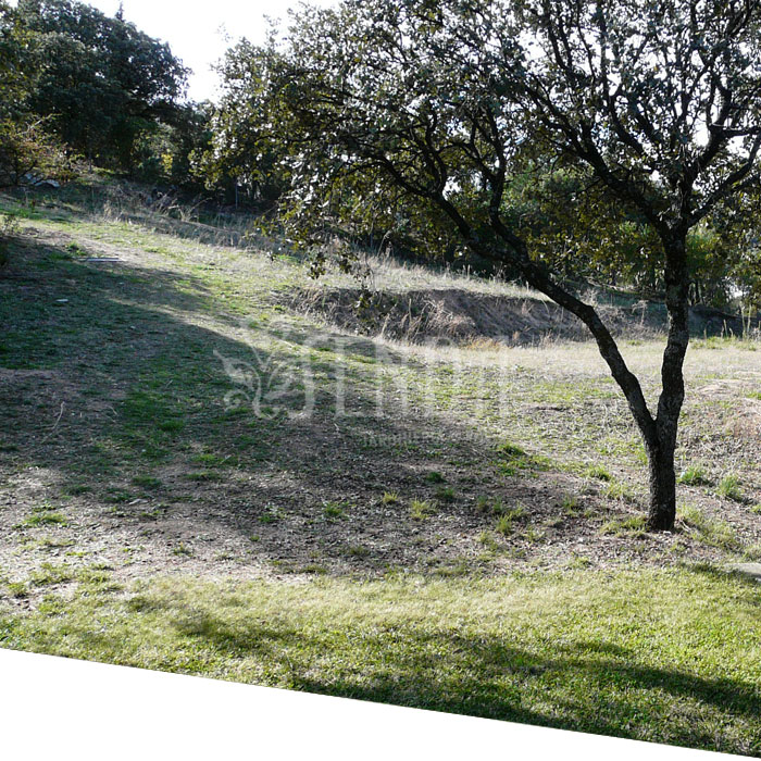 Jardineria 