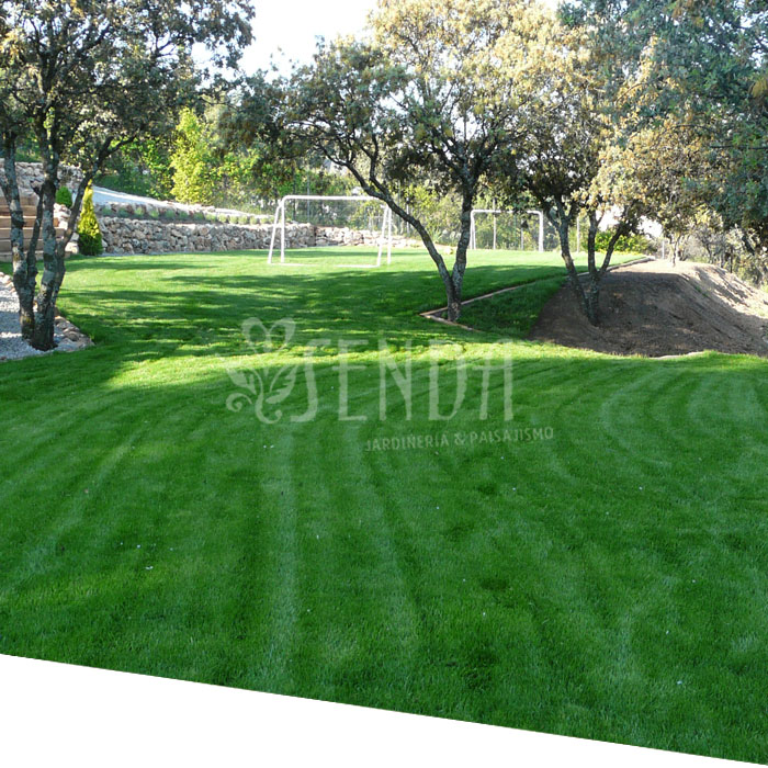 Jardineria 