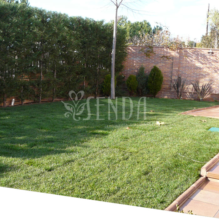 050526-jardineria-despues.jpg