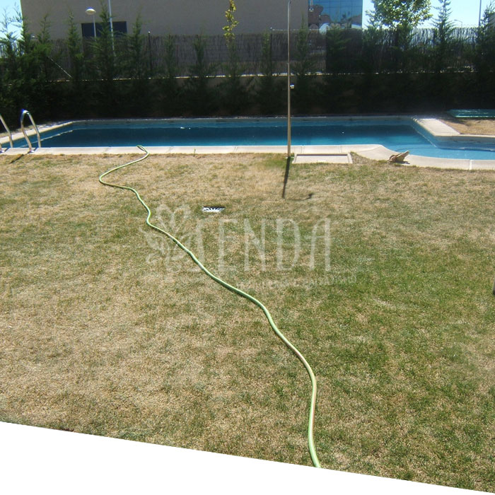 Jardineria chalet Villanueva