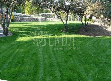 Jardín con gran pradera de césped, arbolado consolidado y zonas de uso integradas