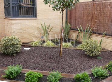 Diseño paisajístico con grava decorativa y composición vegetal