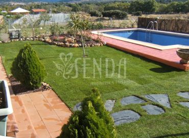 Jardín con piscina integrada, césped natural y senderos de piedra