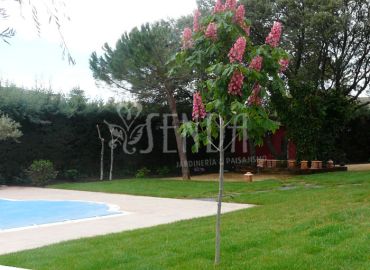 Espacio exterior con césped, arbolado y entorno íntimo junto a piscina
