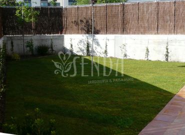 Diseño de jardín funcional con pradera verde y estructura vegetal perimetral