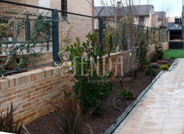 Paisajismo en pasillo lateral: recorrido vegetal y diseño funcional