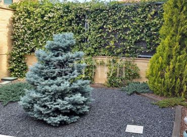 Paisajismo con diseño limpio y atemporal