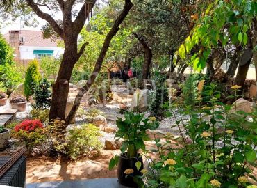 Proyecto de jardinería en chalet